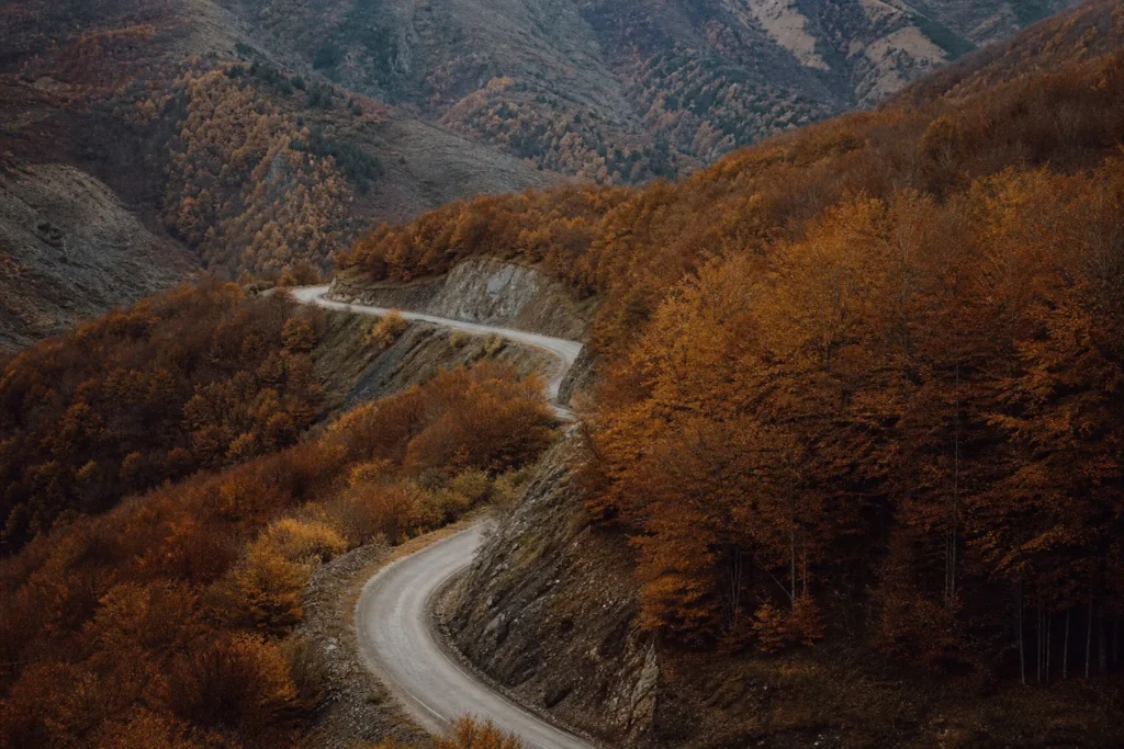 Carretera de montaña entre bosque